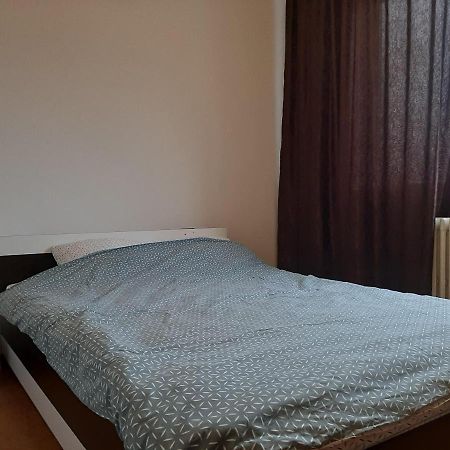 טימישוארה Ultracentral Apartment Bulevard Regele Mihai Nr 10, Sc A Ap 16 מראה חיצוני תמונה